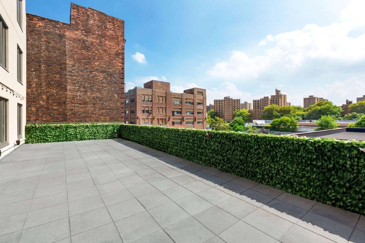 Wingate By Wyndham Bronx Haven Park Hotel New York Exterior photo
